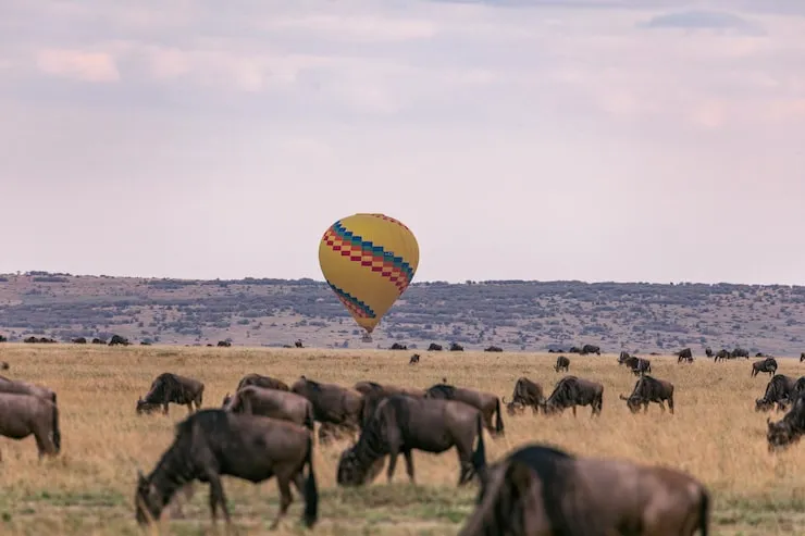 Hot air balloon floating over Maasai Mara at sunrise with wildlife below