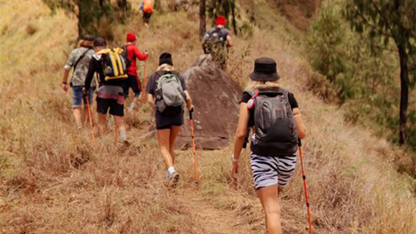 Hikers climbing Mount Kenya with snow-capped peaks in background