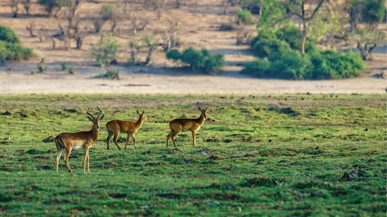 Equator Safari – Samburu Safari Adventure in Northern Kenya