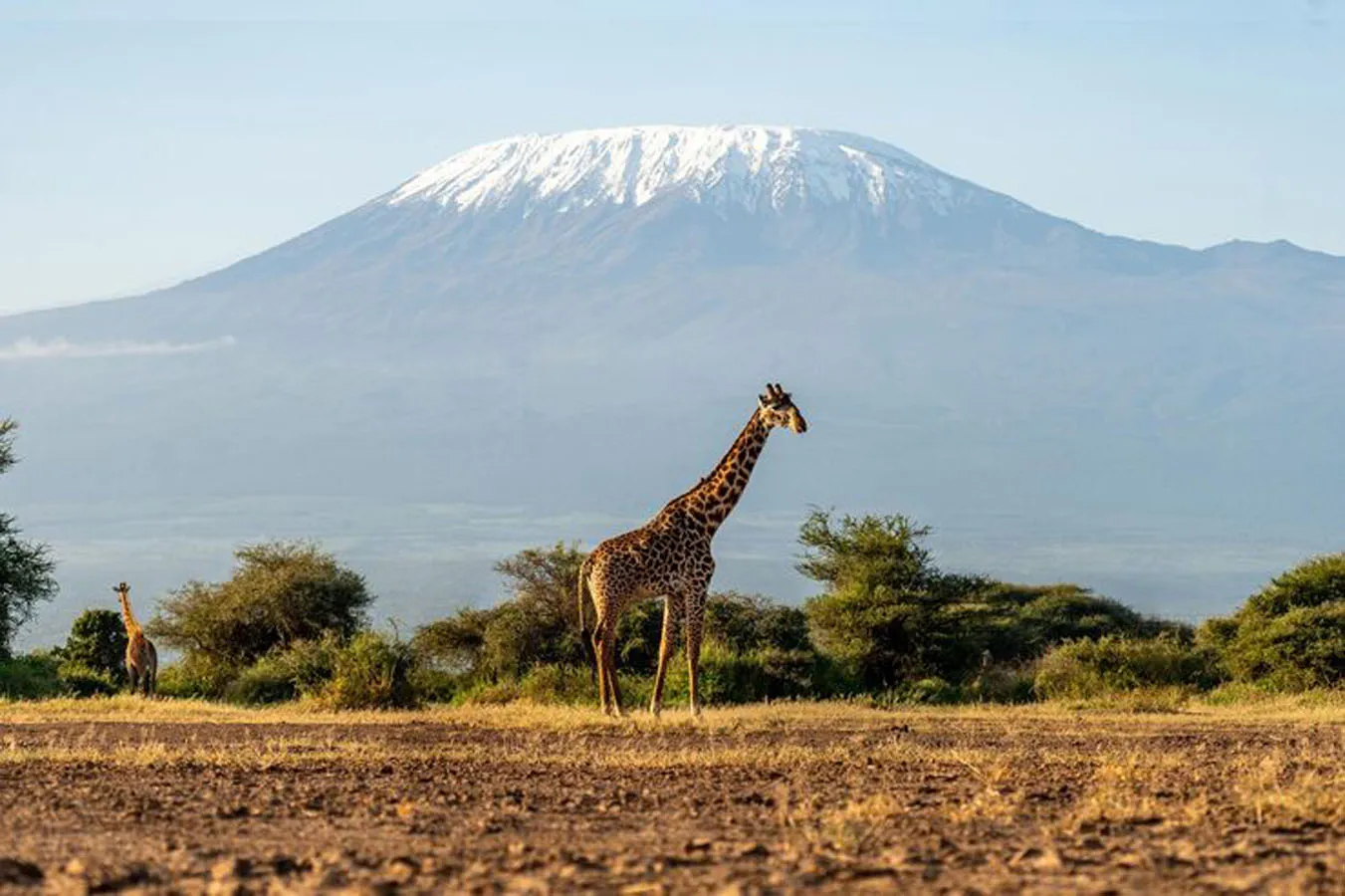 Safari Tours in Kenya – Kenya Explorer East Safari Adventure